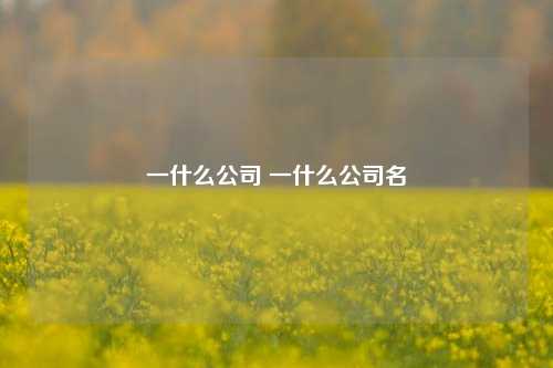 一什么公司 一什么公司名