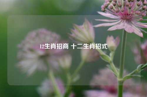 12生肖招商 十二生肖招式