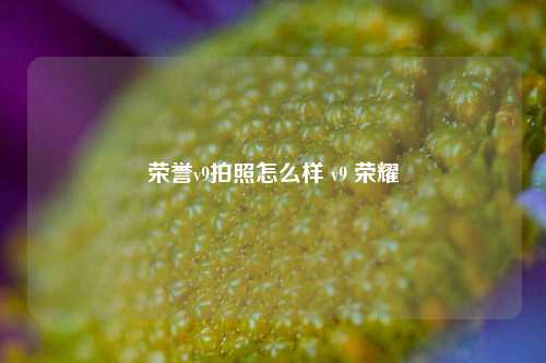 荣誉v9拍照怎么样 v9 荣耀