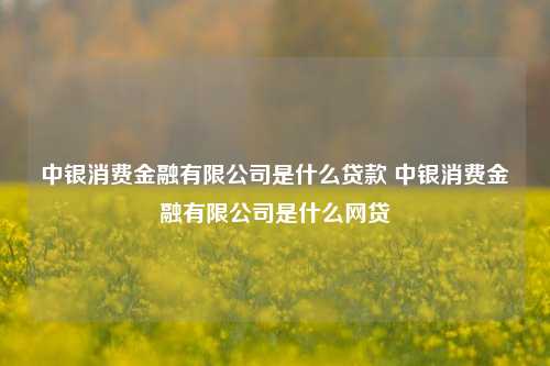 中银消费金融有限公司是什么贷款 中银消费金融有限公司是什么网贷