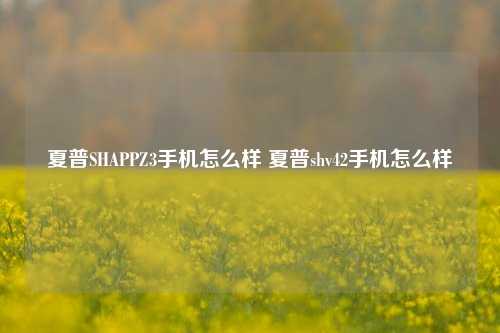 夏普SHAPPZ3手机怎么样 夏普shv42手机怎么样