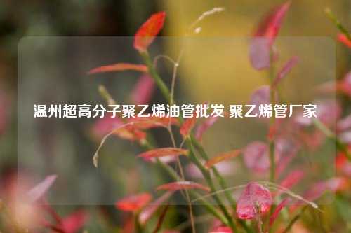 温州超高分子聚乙烯油管批发 聚乙烯管厂家