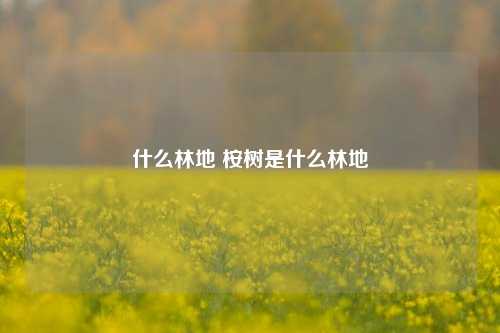 什么林地 桉树是什么林地