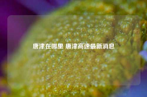 唐津在哪里 唐津高速最新消息