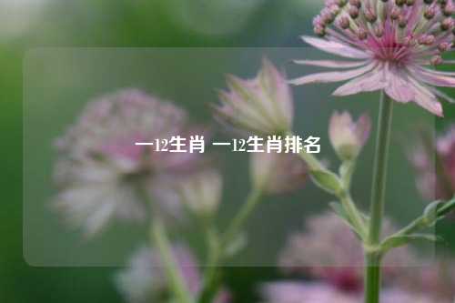 一12生肖 一12生肖排名