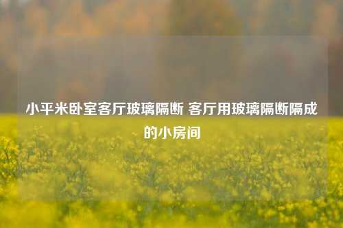 小平米卧室客厅玻璃隔断 客厅用玻璃隔断隔成的小房间