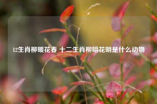 12生肖柳暖花春 十二生肖柳暗花明是什么动物