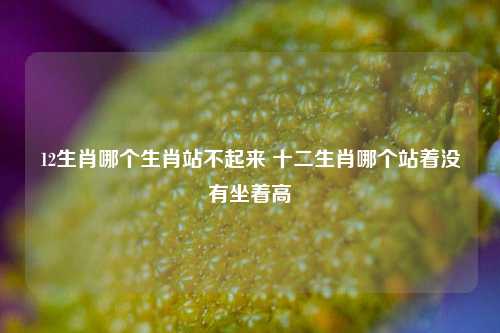 12生肖哪个生肖站不起来 十二生肖哪个站着没有坐着高