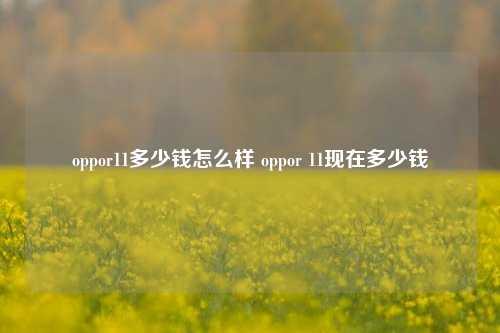 oppor11多少钱怎么样 oppor 11现在多少钱