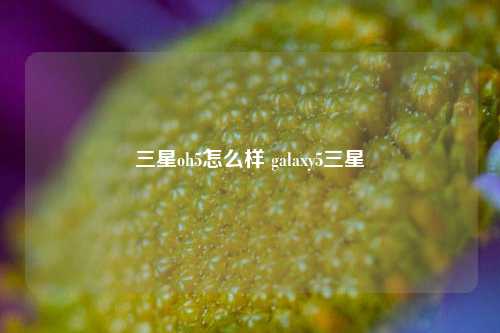 三星oh5怎么样 galaxy5三星