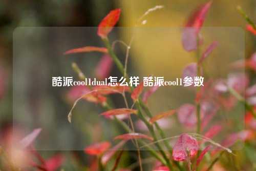 酷派cool1dual怎么样 酷派cool1参数