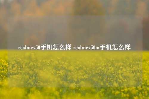 realmex50手机怎么样 realmex50m手机怎么样