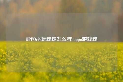 OPPOr9s玩球球怎么样 oppo游戏球