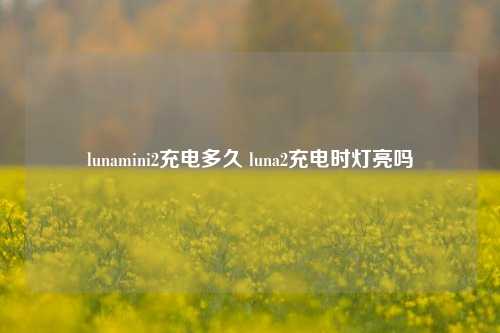 lunamini2充电多久 luna2充电时灯亮吗