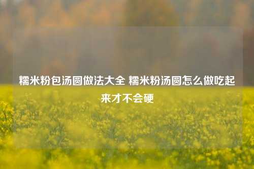 糯米粉包汤圆做法大全 糯米粉汤圆怎么做吃起来才不会硬