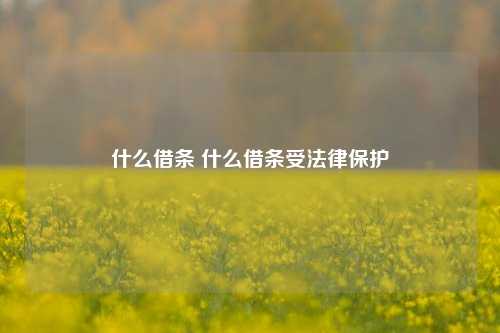 什么借条 什么借条受法律保护