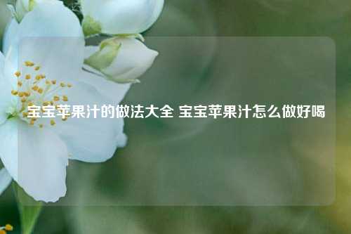 宝宝苹果汁的做法大全 宝宝苹果汁怎么做好喝