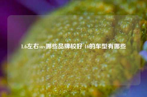 1.6左右suv哪些品牌较好 16的车型有哪些