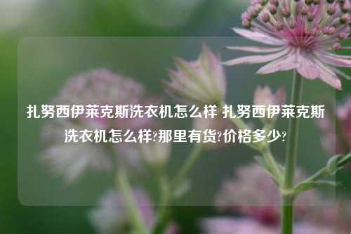 扎努西伊莱克斯洗衣机怎么样 扎努西伊莱克斯洗衣机怎么样?那里有货?价格多少?