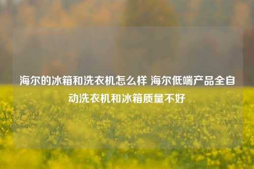 海尔的冰箱和洗衣机怎么样 海尔低端产品全自动洗衣机和冰箱质量不好