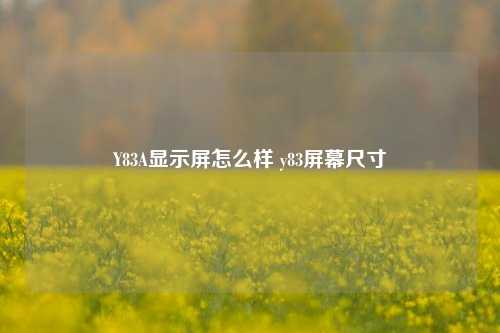 Y83A显示屏怎么样 y83屏幕尺寸