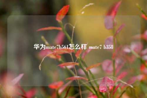 华为mate7b561怎么样 mate7 b358