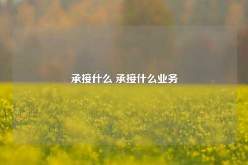 承接什么 承接什么业务