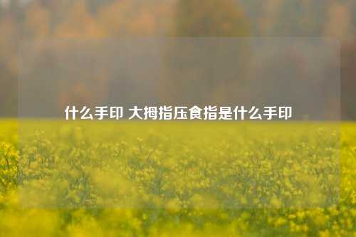 什么手印 大拇指压食指是什么手印