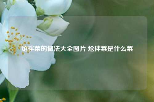 炝拌菜的做法大全图片 炝拌菜是什么菜