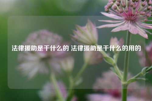 法律援助是干什么的 法律援助是干什么的用的