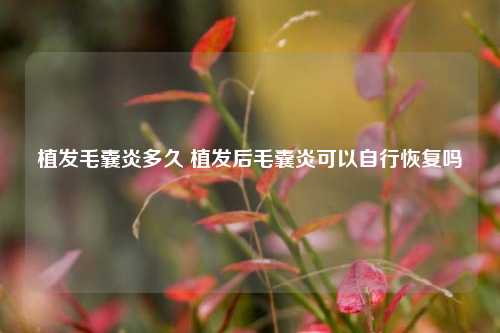 植发毛囊炎多久 植发后毛囊炎可以自行恢复吗