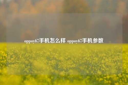 oppoy67手机怎么样 oppoy67手机参数