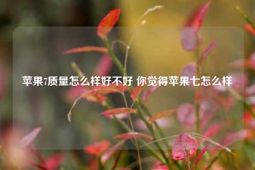 苹果7质量怎么样好不好 你觉得苹果七怎么样