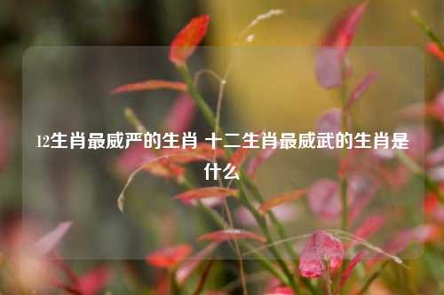 12生肖最威严的生肖 十二生肖最威武的生肖是什么