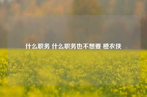 什么职务 什么职务也不想要 橙衣侠