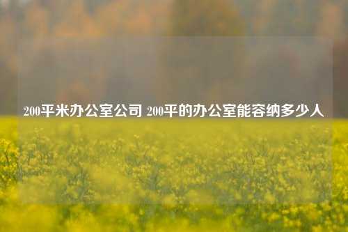 200平米办公室公司 200平的办公室能容纳多少人