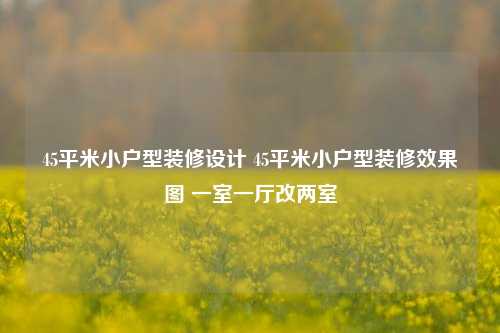 45平米小户型装修设计 45平米小户型装修效果图 一室一厅改两室