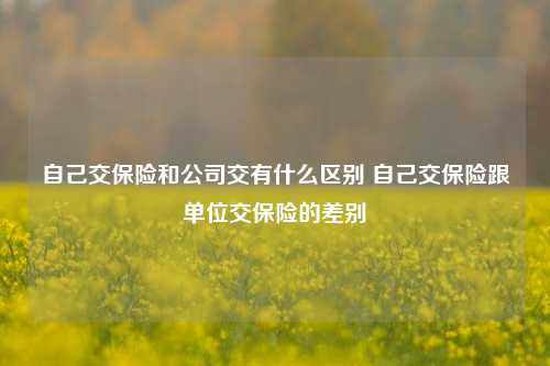 自己交保险和公司交有什么区别 自己交保险跟单位交保险的差别