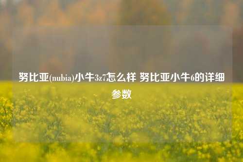 努比亚(nubia)小牛3z7怎么样 努比亚小牛6的详细参数