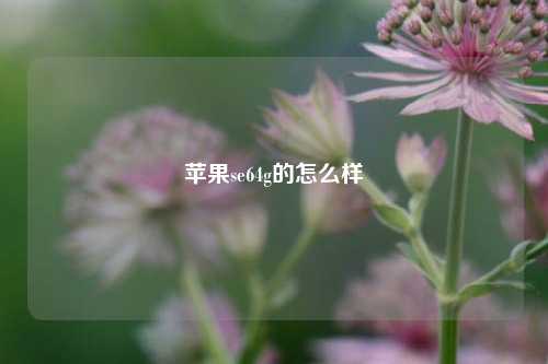 苹果se64g的怎么样