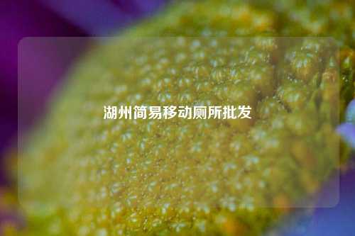 湖州简易移动厕所批发