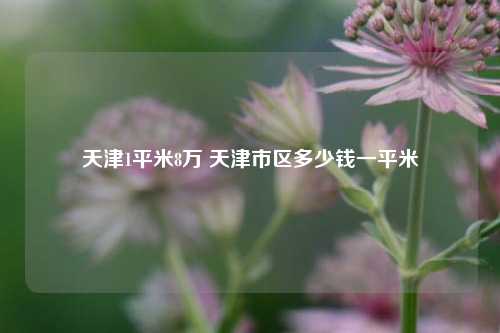 天津1平米8万 天津市区多少钱一平米