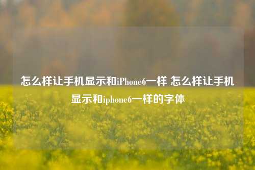 怎么样让手机显示和iPhone6一样 怎么样让手机显示和iphone6一样的字体