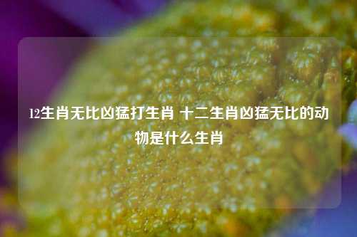 12生肖无比凶猛打生肖 十二生肖凶猛无比的动物是什么生肖