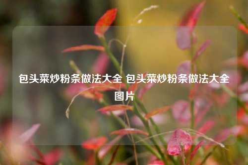 包头菜炒粉条做法大全 包头菜炒粉条做法大全图片