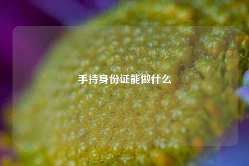 手持身份证能做什么