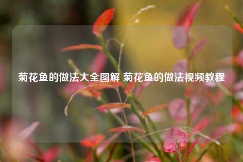 菊花鱼的做法大全图解 菊花鱼的做法视频教程