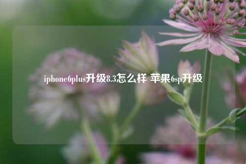 iphone6plus升级8.3怎么样 苹果6sp升级