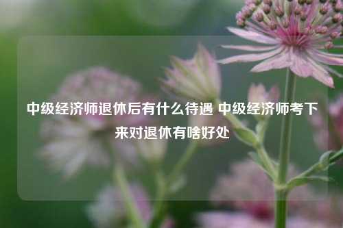 中级经济师退休后有什么待遇 中级经济师考下来对退休有啥好处