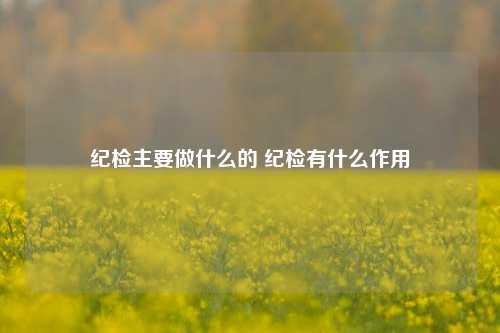 纪检主要做什么的 纪检有什么作用